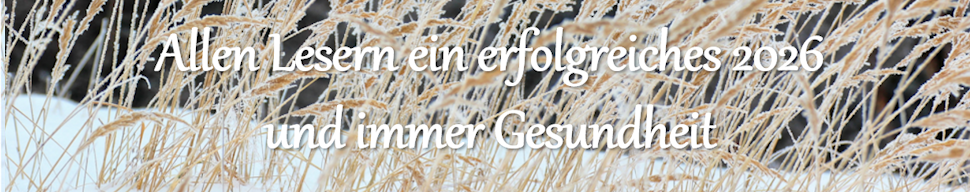 Grafik Head W&uuml;nsche Jahreswechsel 2026, Thomas Riemann, 